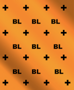 Best Lyfe Fashion Logo